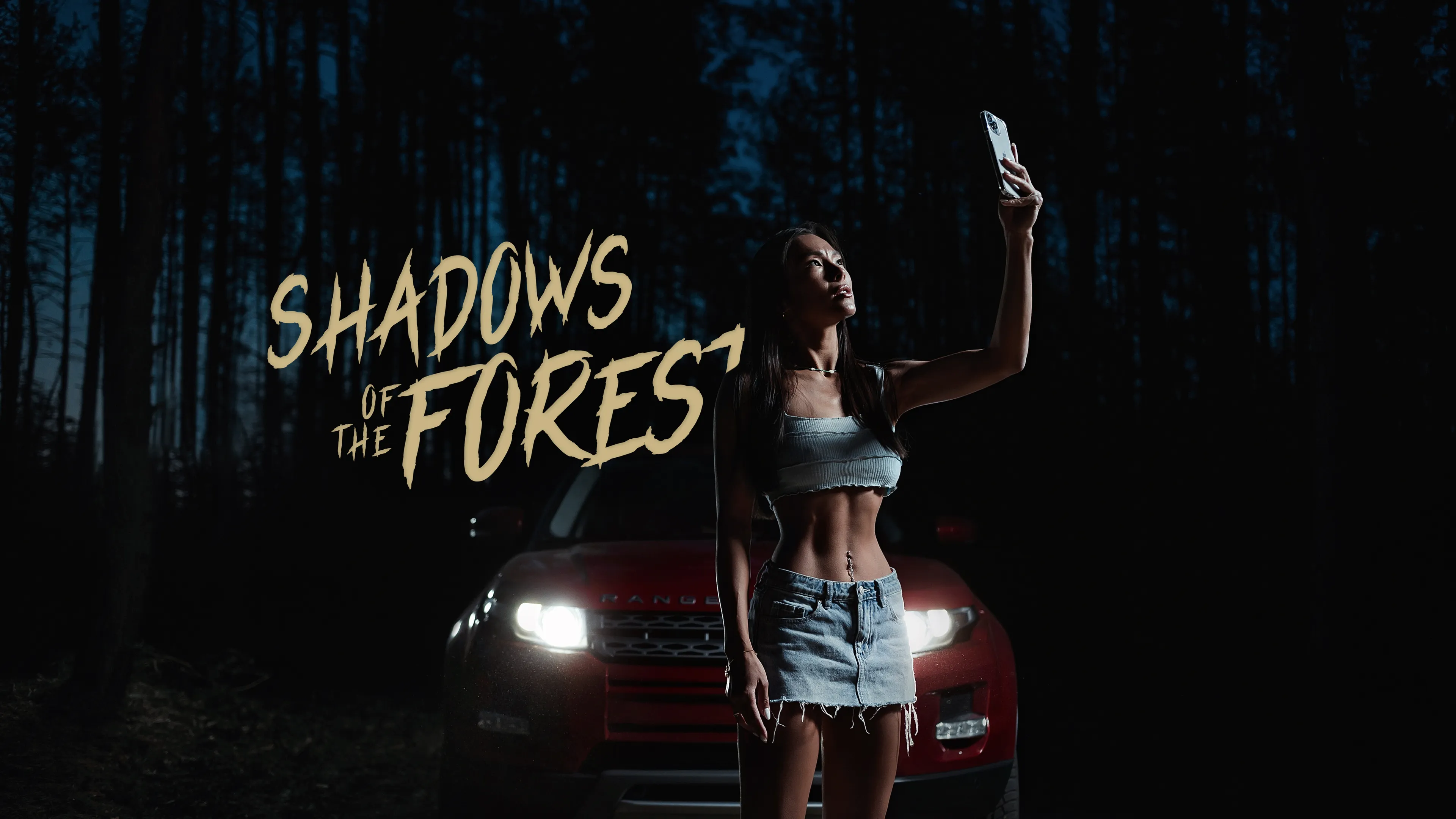 Shadows of the Forest poster